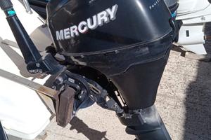 Mercury F8 ML - CVT Nautica