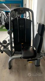 palestra