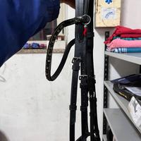 Testiera equitazione