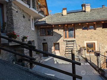 Last minute- ? scoiattolo in montagna ?