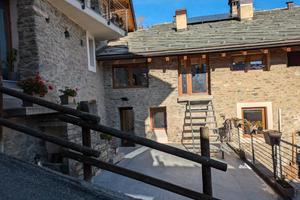 Last minute- ? scoiattolo in montagna ?