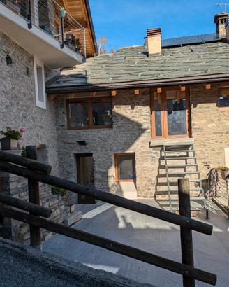 Last minute- ? scoiattolo in montagna ?