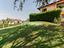 Immagine 28