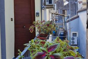 Appartamento indipendente