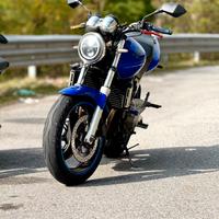 Hornet 600