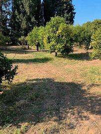 Quartucciu, Is Concias, terreno edificabile