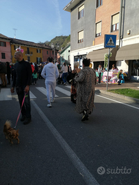 Posteggio mercato Alba