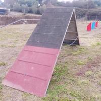 Attrezzi agility dog