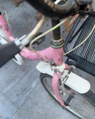 Bicicletta