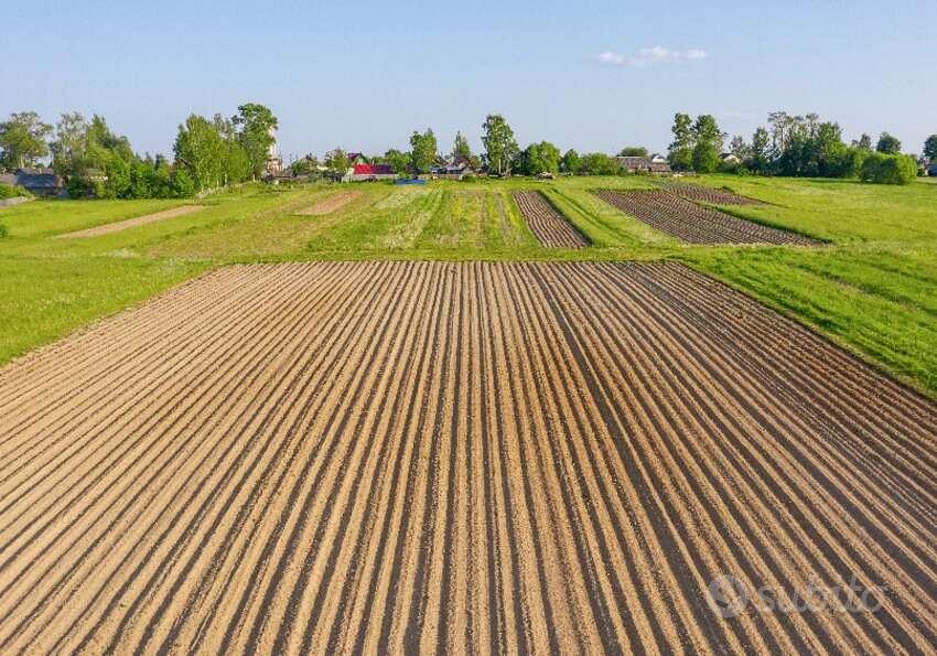 Terreno Agricolo nel cuore di Conselve - Vista 4