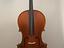 Immagine 1