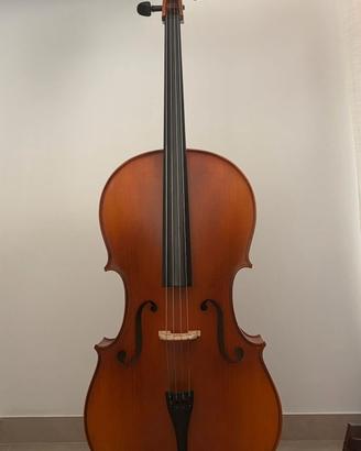 Violoncello Gewa Set Europea studio 4/4