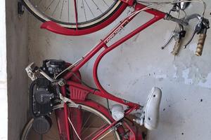 Garelli Altro modello - 1980