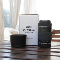 Canon EF-S 55-250mm f/4-5.6 IS STM