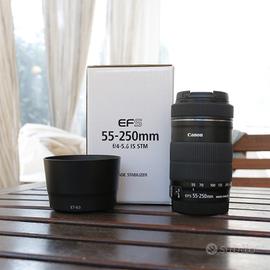 Canon EF-S 55-250mm f/4-5.6 IS STM