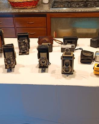 Collezione di Macchine Fotografiche 