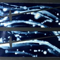 Franco Angeli - Vento in Coda