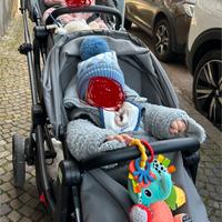 Trio gemellare/fratellare Peg Perego Ypsi Modular