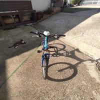 Bici napoli