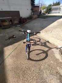 Bici napoli
