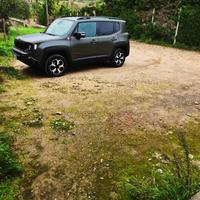 JEEP RENEGADE TRAILHAWK 170cv 4X4