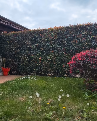 Villetta a Schiera su Piano Unico Libera su 2 Lati