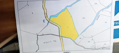 Terreno agricolo