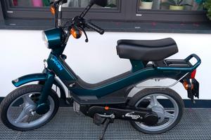 Piaggio Grillo 1990, kollaudiert