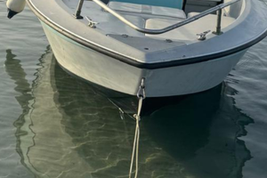 Open motore e carrello completo di tutto