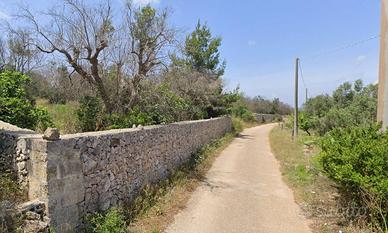 Terreno Agricolo - Ugento
