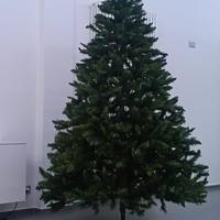 Albero di Natale 2.40 mt
