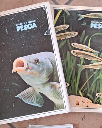 Andare a pesca - Rizzoli Editore