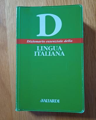 Dizionario tascabile