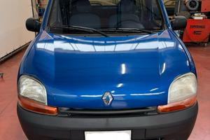 Reanult kangoo per diversamente abili