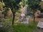 Immagine 16