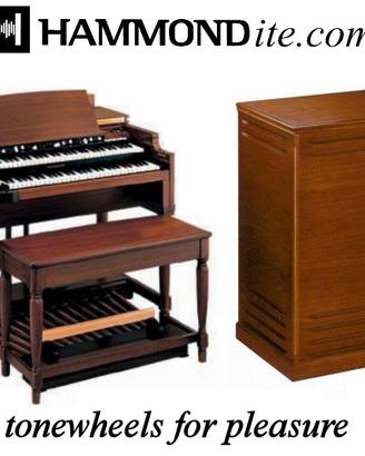 Hammond Leslie Fender Rhodes Clavinet Moog