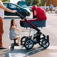 CARRELLO CON SEDUTA UNIVERSALE PASSEGGINO