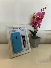 iPhone 5C Blue A1507 Disassemblato e Incorniciato