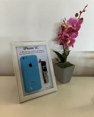 iPhone 5C Blue A1507 Disassemblato e Incorniciato