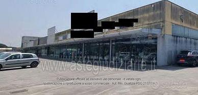 Negozio Collesalvetti [A4354392]