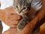 Immagine 1