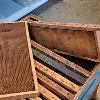 Melari con telaini costruiti