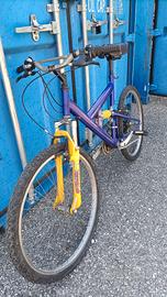 BICI DELLA CHILI WORKS 333