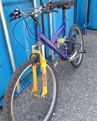 BICI DELLA CHILI WORKS 333