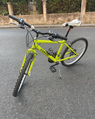 Mountain Bike per ragazzo