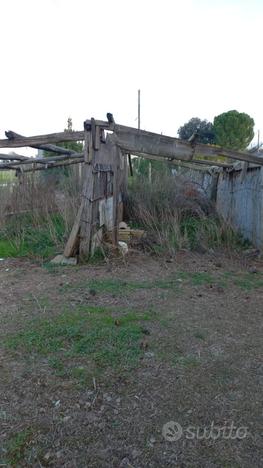 Casa Colonica con terreno Montelupone