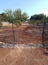 Campagna via per canicattini bagni