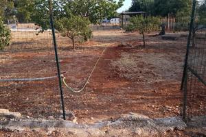 Campagna via per canicattini bagni