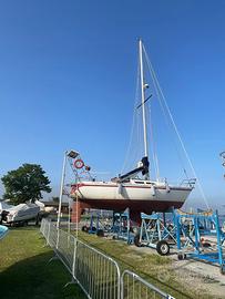 Barca a vela  natante