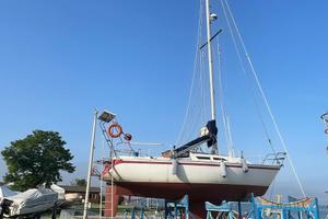 Barca a vela  natante